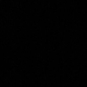 Meet your Posher, Dillon